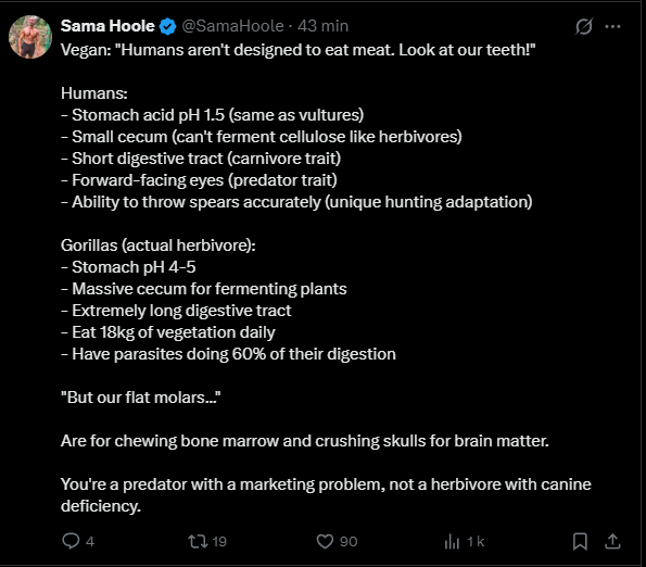 Capture d’écran 2026-02-14 080827.png